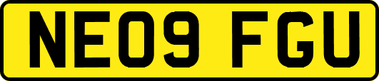 NE09FGU