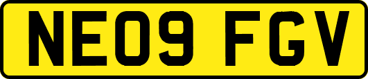 NE09FGV