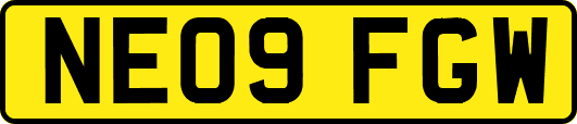 NE09FGW