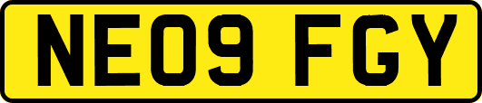 NE09FGY