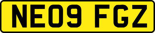 NE09FGZ