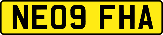 NE09FHA