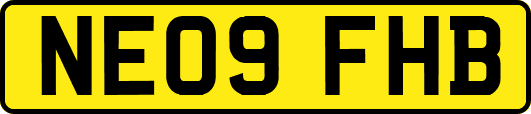 NE09FHB