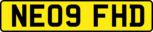 NE09FHD