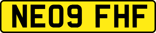 NE09FHF