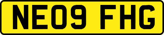 NE09FHG