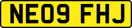 NE09FHJ
