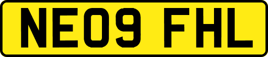 NE09FHL