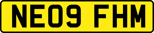 NE09FHM