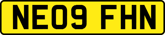 NE09FHN