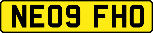 NE09FHO