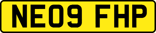 NE09FHP