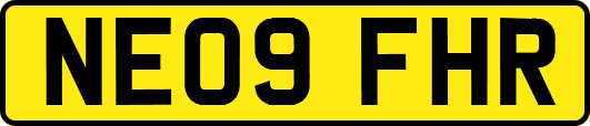 NE09FHR
