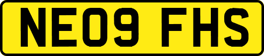 NE09FHS