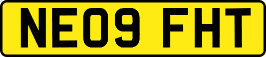 NE09FHT