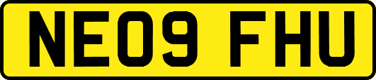 NE09FHU