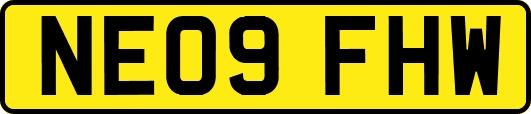 NE09FHW