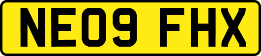 NE09FHX