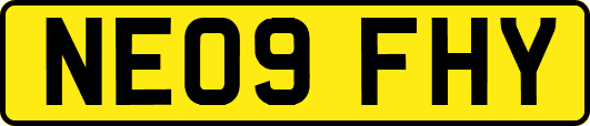 NE09FHY