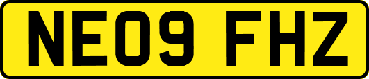NE09FHZ