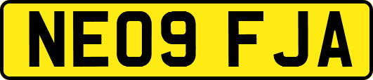 NE09FJA