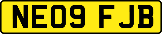 NE09FJB
