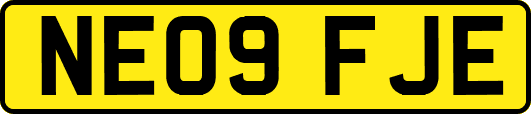 NE09FJE