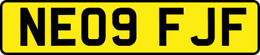 NE09FJF
