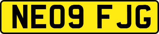 NE09FJG