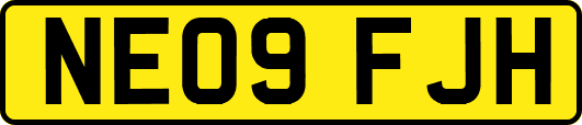 NE09FJH
