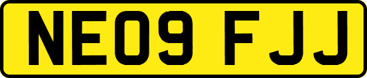 NE09FJJ