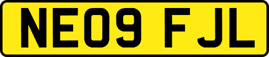 NE09FJL