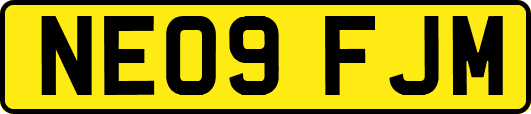 NE09FJM