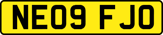 NE09FJO
