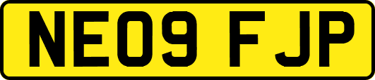 NE09FJP