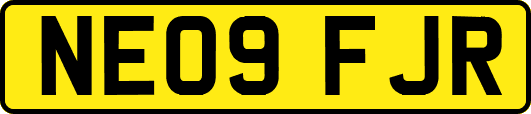NE09FJR