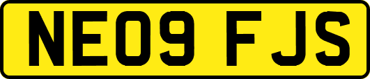 NE09FJS