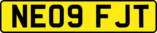 NE09FJT