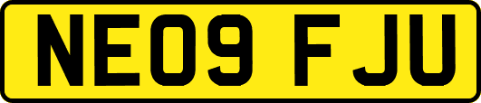 NE09FJU