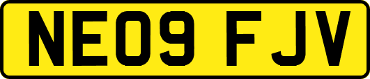 NE09FJV