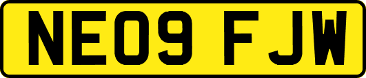 NE09FJW