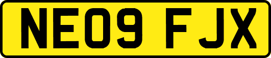 NE09FJX