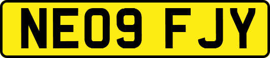 NE09FJY