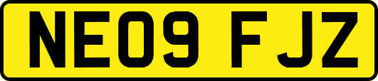 NE09FJZ