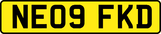 NE09FKD