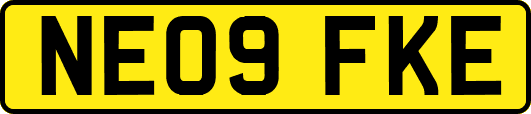 NE09FKE