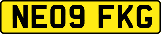NE09FKG