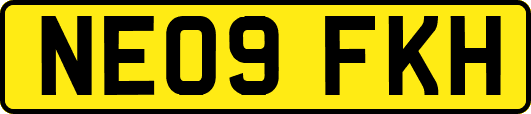NE09FKH
