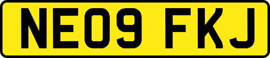 NE09FKJ