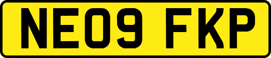 NE09FKP